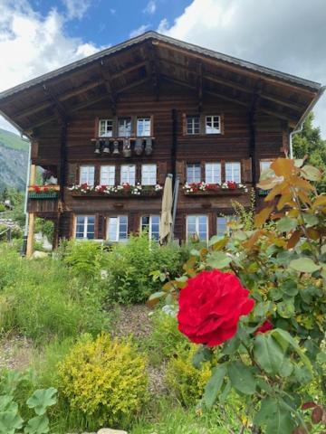 Buehl Lenk Apartment Exterior foto